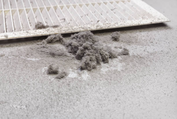 HVAC System Cleaning in Muenster, TX